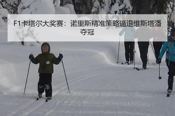 F1卡塔尔大奖赛：诺里斯精准策略逼退维斯塔潘夺冠